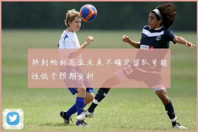 热刺帕利尼亚未来不确定留队可能性低于预期分析