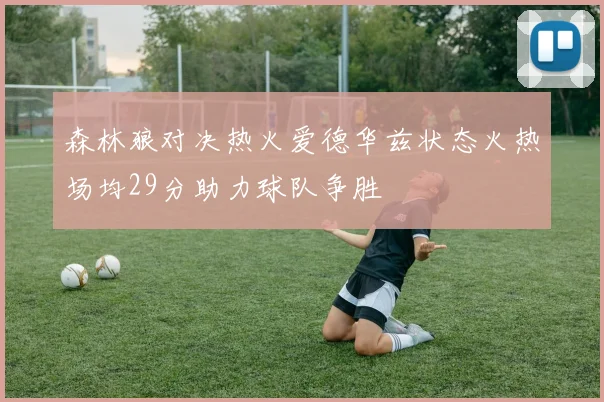 森林狼对决热火爱德华兹状态火热场均29分助力球队争胜