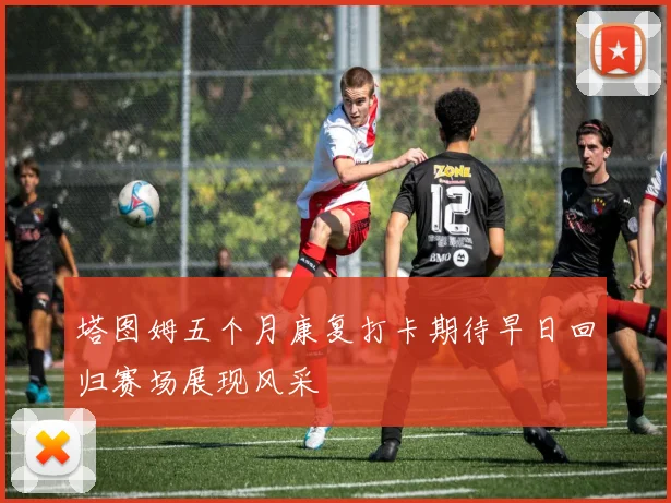 塔图姆五个月康复打卡期待早日回归赛场展现风采