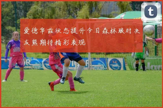 爱德华兹状态提升今日森林狼对决灰熊期待精彩表现