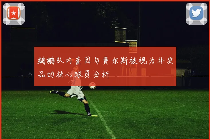 鹈鹕队内奎因与费尔斯被视为非卖品的核心球员分析