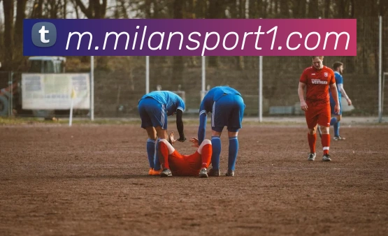 App Interface Preview